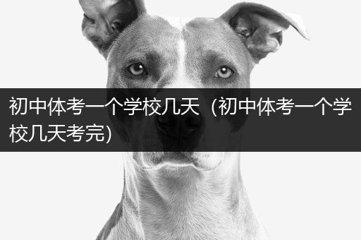 初中体考一个学校几天（初中体考一个学校几天考完）