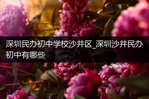 深圳民办初中学校沙井区_深圳沙井民办初中有哪些