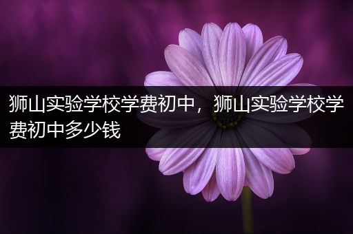 狮山实验学校学费初中，狮山实验学校学费初中多少钱