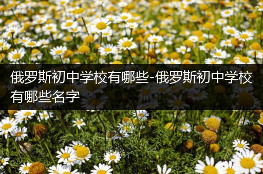 俄罗斯初中学校有哪些-俄罗斯初中学校有哪些名字