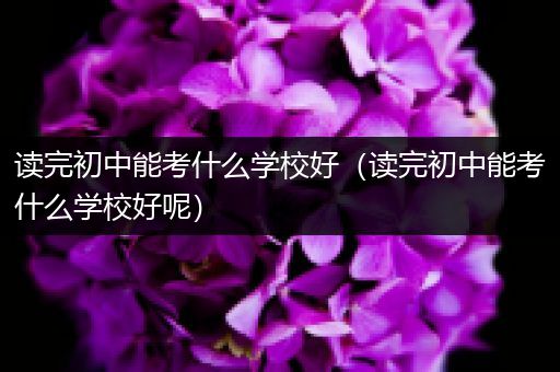 读完初中能考什么学校好（读完初中能考什么学校好呢）