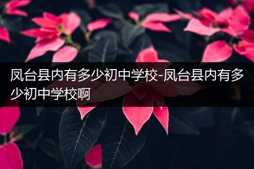 凤台县内有多少初中学校-凤台县内有多少初中学校啊