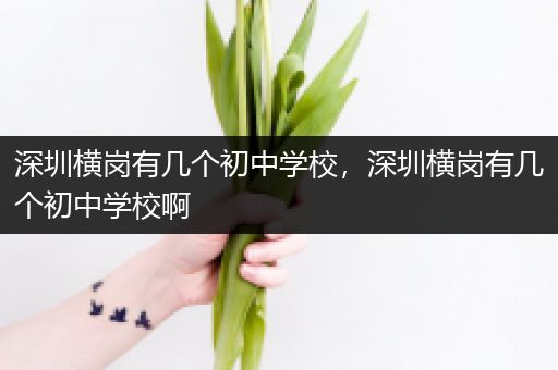 深圳横岗有几个初中学校，深圳横岗有几个初中学校啊