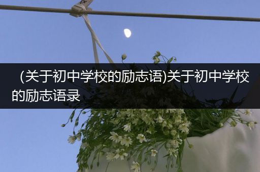 （关于初中学校的励志语)关于初中学校的励志语录