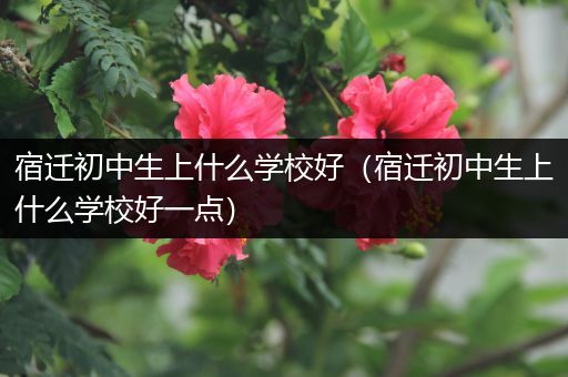 宿迁初中生上什么学校好（宿迁初中生上什么学校好一点）