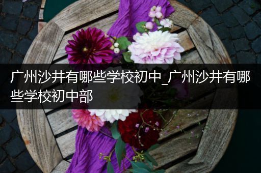 广州沙井有哪些学校初中_广州沙井有哪些学校初中部