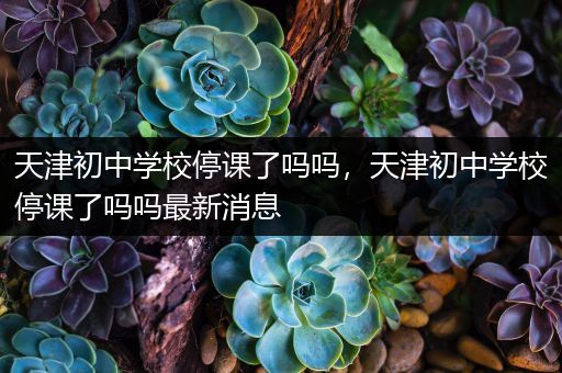 天津初中学校停课了吗吗，天津初中学校停课了吗吗最新消息