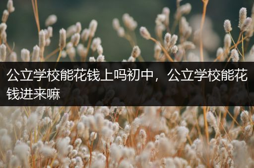 公立学校能花钱上吗初中，公立学校能花钱进来嘛