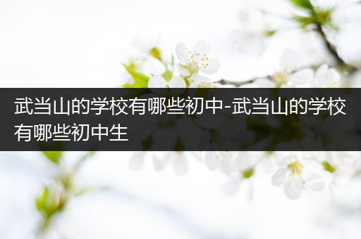 武当山的学校有哪些初中-武当山的学校有哪些初中生