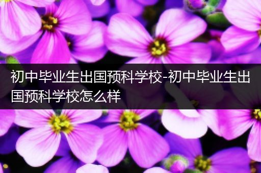 初中毕业生出国预科学校-初中毕业生出国预科学校怎么样