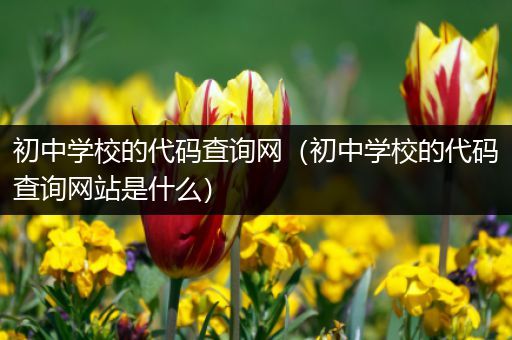 初中学校的代码查询网（初中学校的代码查询网站是什么）