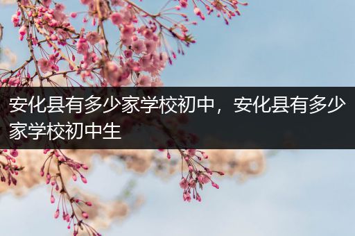 安化县有多少家学校初中，安化县有多少家学校初中生