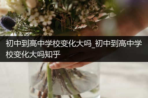 初中到高中学校变化大吗_初中到高中学校变化大吗知乎