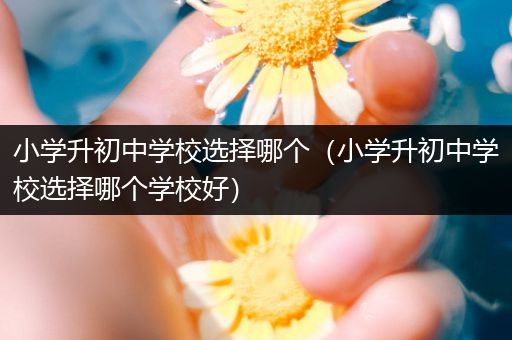 小学升初中学校选择哪个（小学升初中学校选择哪个学校好）