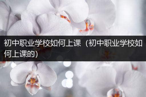 初中职业学校如何上课（初中职业学校如何上课的）