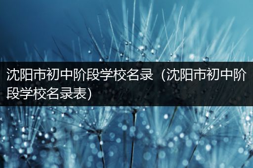 沈阳市初中阶段学校名录（沈阳市初中阶段学校名录表）