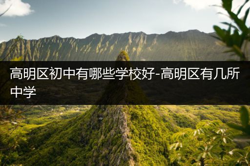 高明区初中有哪些学校好-高明区有几所中学