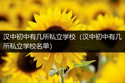 汉中初中有几所私立学校（汉中初中有几所私立学校名单）