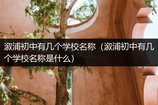 溆浦初中有几个学校名称（溆浦初中有几个学校名称是什么）