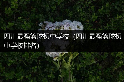 四川最强篮球初中学校（四川最强篮球初中学校排名）