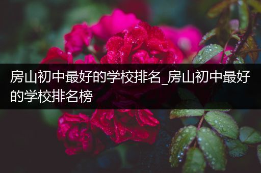 房山初中最好的学校排名_房山初中最好的学校排名榜