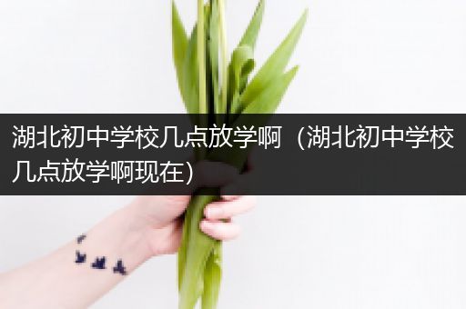 湖北初中学校几点放学啊（湖北初中学校几点放学啊现在）