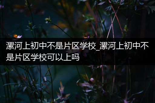 漯河上初中不是片区学校_漯河上初中不是片区学校可以上吗