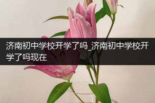 济南初中学校开学了吗_济南初中学校开学了吗现在