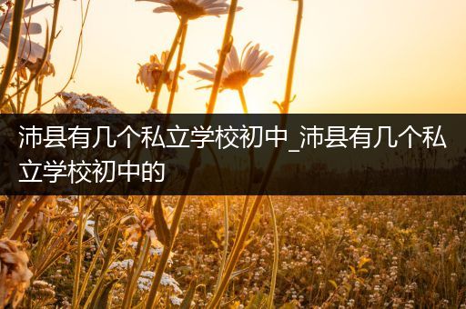 沛县有几个私立学校初中_沛县有几个私立学校初中的