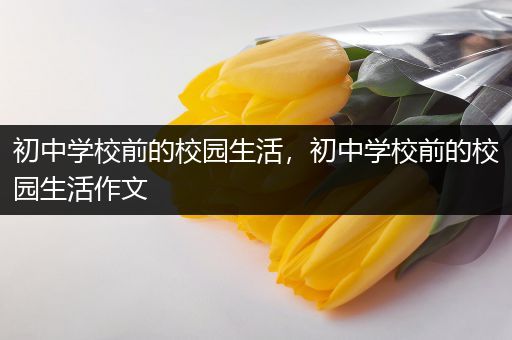 初中学校前的校园生活，初中学校前的校园生活作文