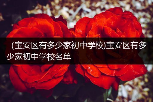 （宝安区有多少家初中学校)宝安区有多少家初中学校名单