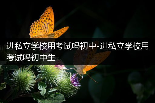 进私立学校用考试吗初中-进私立学校用考试吗初中生