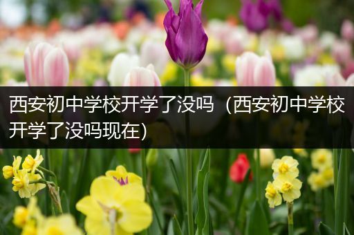 西安初中学校开学了没吗（西安初中学校开学了没吗现在）