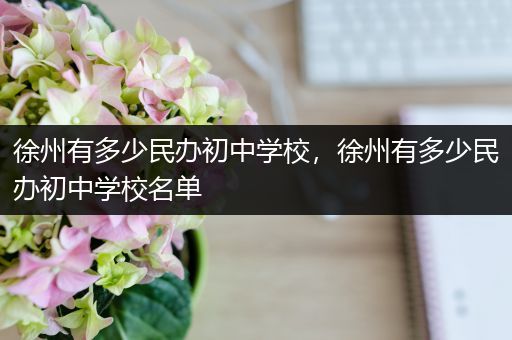 徐州有多少民办初中学校，徐州有多少民办初中学校名单