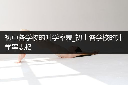 初中各学校的升学率表_初中各学校的升学率表格