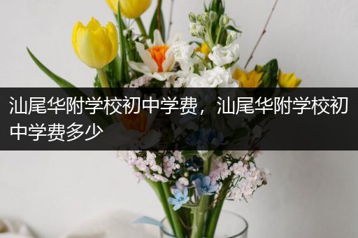 汕尾华附学校初中学费，汕尾华附学校初中学费多少