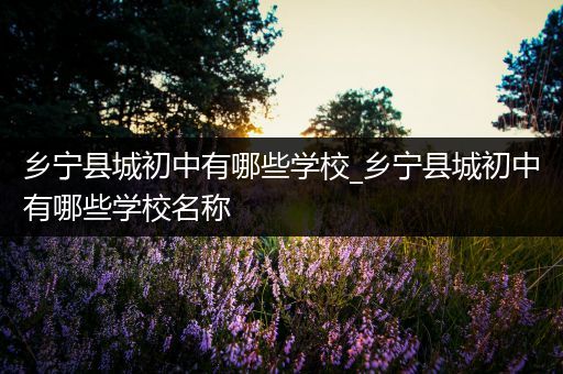 乡宁县城初中有哪些学校_乡宁县城初中有哪些学校名称