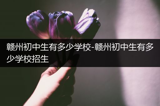 赣州初中生有多少学校-赣州初中生有多少学校招生