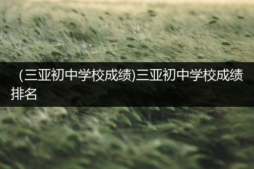 （三亚初中学校成绩)三亚初中学校成绩排名