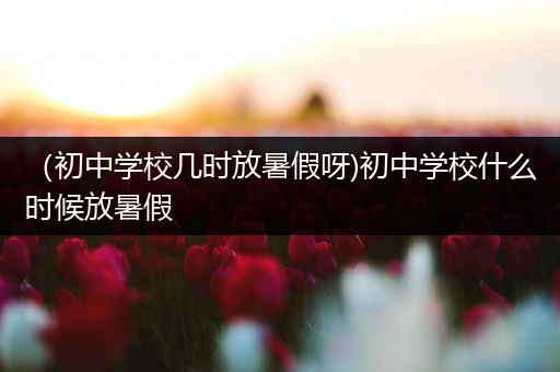 （初中学校几时放暑假呀)初中学校什么时候放暑假