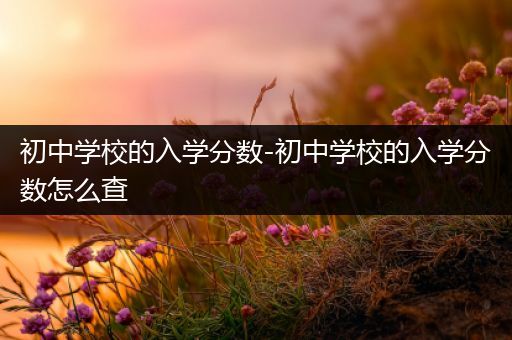 初中学校的入学分数-初中学校的入学分数怎么查