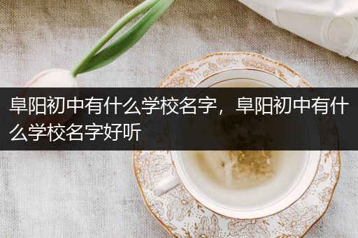 阜阳初中有什么学校名字，阜阳初中有什么学校名字好听