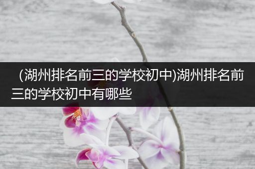 （湖州排名前三的学校初中)湖州排名前三的学校初中有哪些