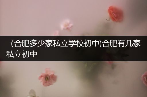 （合肥多少家私立学校初中)合肥有几家私立初中