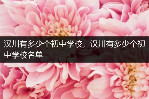 汉川有多少个初中学校，汉川有多少个初中学校名单