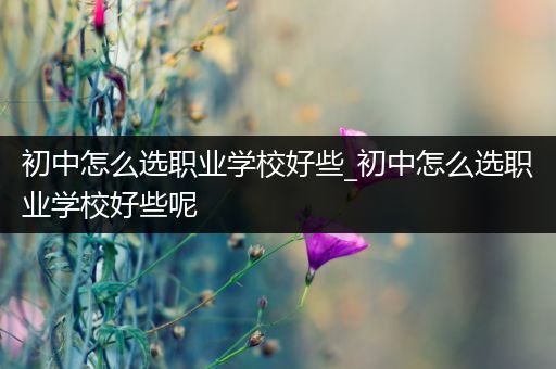 初中怎么选职业学校好些_初中怎么选职业学校好些呢