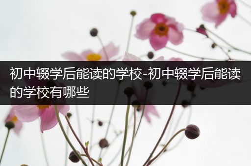 初中辍学后能读的学校-初中辍学后能读的学校有哪些