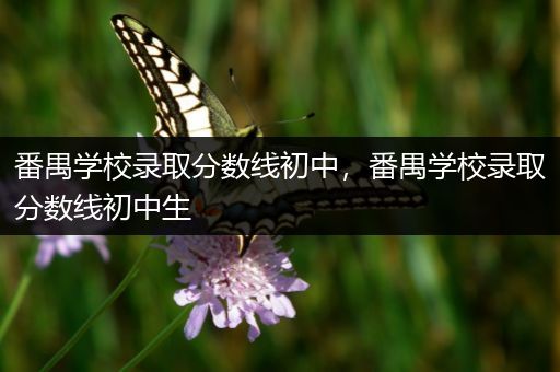 番禺学校录取分数线初中，番禺学校录取分数线初中生