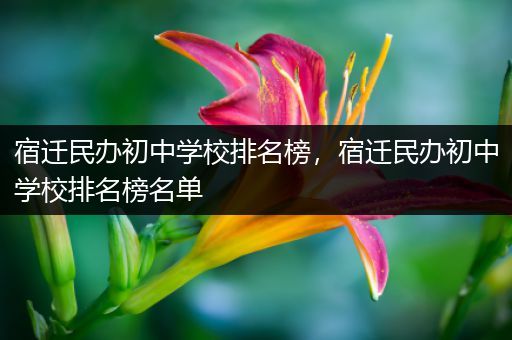 宿迁民办初中学校排名榜，宿迁民办初中学校排名榜名单