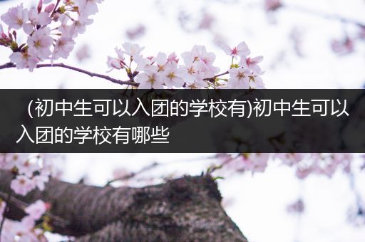 （初中生可以入团的学校有)初中生可以入团的学校有哪些